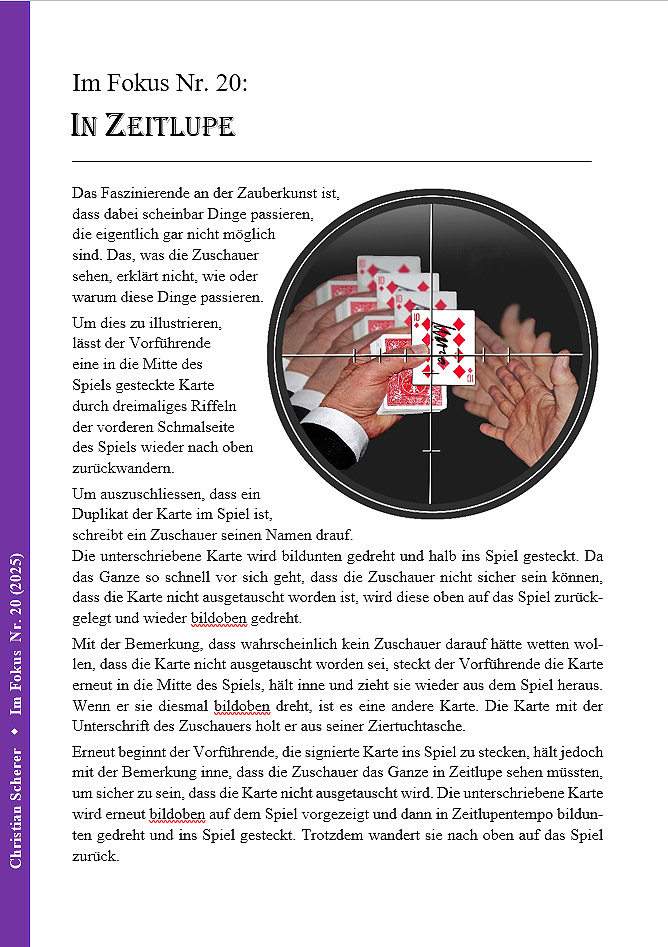 Schlaglichter-Publikationen